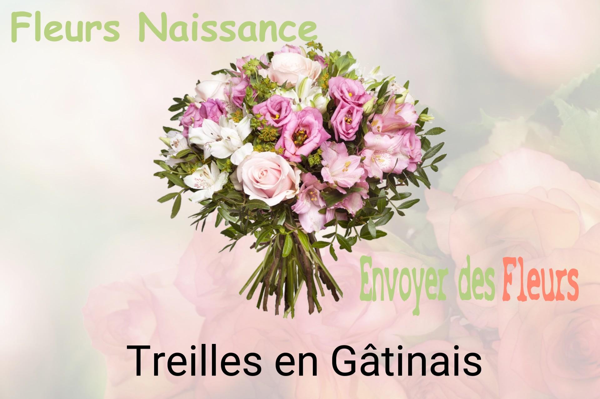 Bouquet de fleurs de naissance livré à Treilles-en-Gâtinais