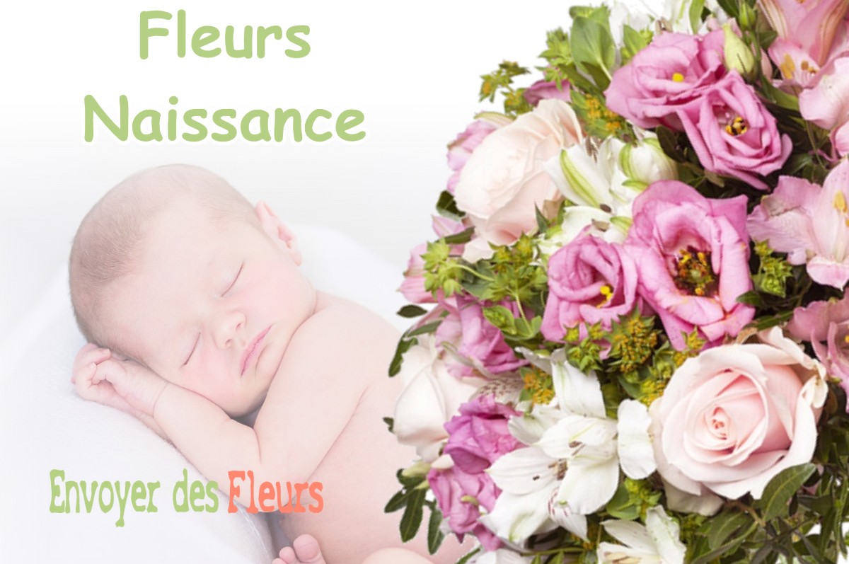 lIVRAISON FLEURS NAISSANCE à TREILLES-EN-GATINAIS