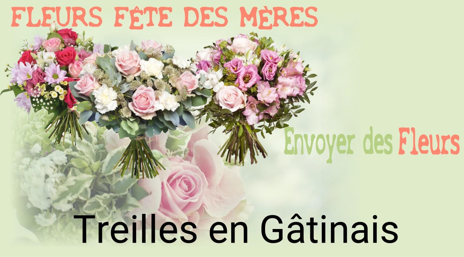 Bouquet de Fête des Mères livré à Treilles-en-Gâtinais
